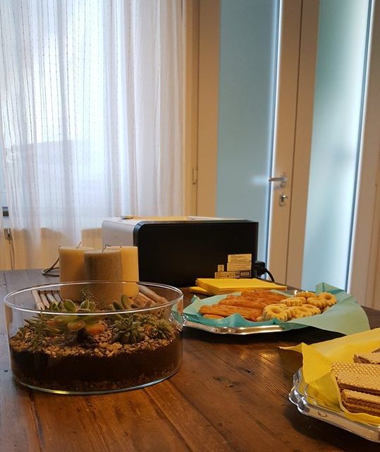 50959487_147169272875221_486633177754894336_o